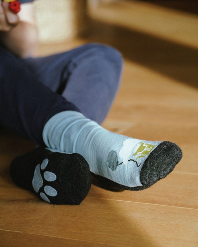 KATTNAKKEN Ullsokk Antiskli, Isbre